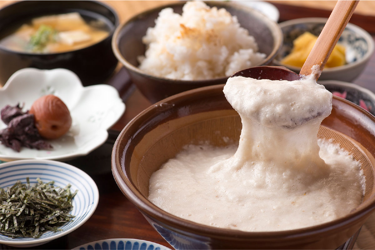 名田庄の自然が育んだ自然薯